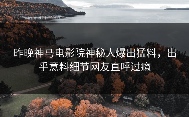 昨晚神马电影院神秘人爆出猛料，出乎意料细节网友直呼过瘾