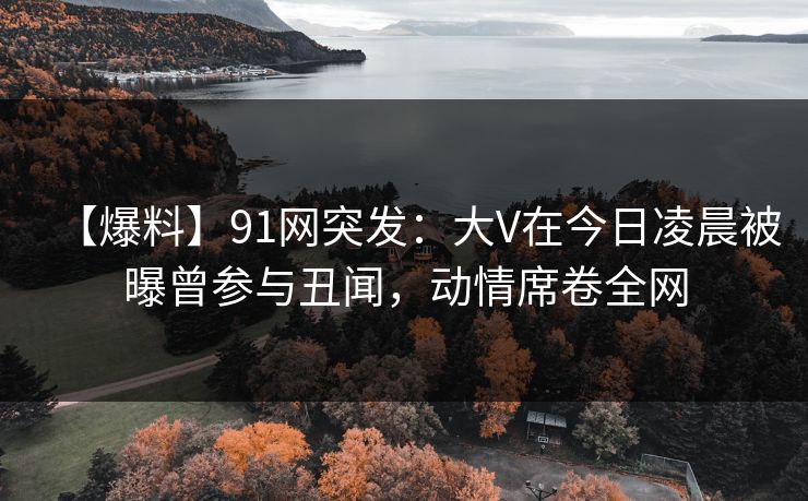 【爆料】91网突发：大V在今日凌晨被曝曾参与丑闻，动情席卷全网