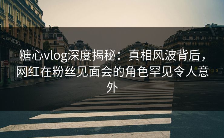 糖心vlog深度揭秘：真相风波背后，网红在粉丝见面会的角色罕见令人意外